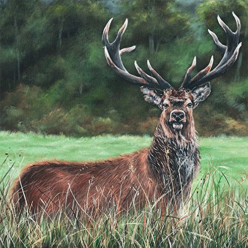 Bree Merryn Shay Stag Canvas 40cm - Gifteasy Online