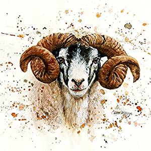 Bree Merryn Sherman the Ram 40cm Canvas Print - Gifteasy Online