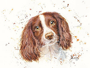 Bree Merryn Sky Spaniel Canvas Cutie - Gifteasy Online