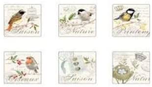 Stow Green Songbird Coasters - Pack of 6 - Gifteasy Online