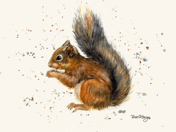 Bree Merryn Sunny Squirrel Canvas Cutie - Gifteasy Online